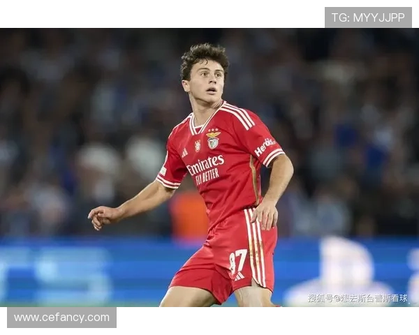 本菲卡本赛季技术统计表现稳健，攻防数据持续提升