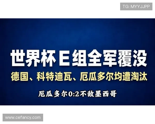 世界杯E组小组赛总结:三队晋级一队出局